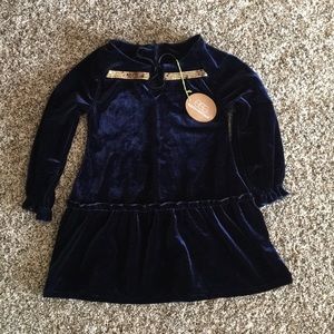 Navy toddler girl dress size 2 - new with tags!